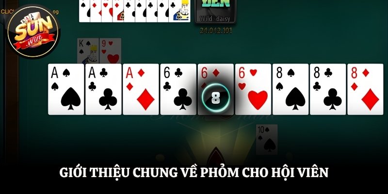 Giới thiệu chung về Phỏm cho hội viên